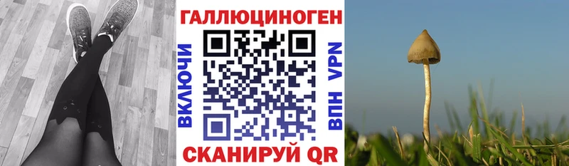 blacksprut рабочий сайт  Видное  Галлюциногенные грибы ЛСД 