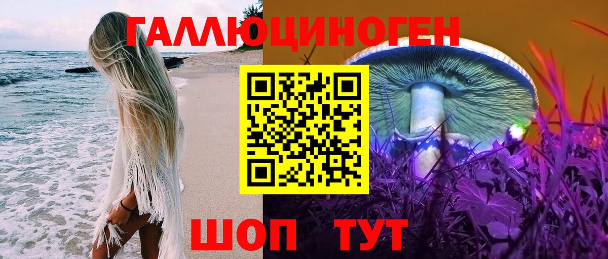 Псилоцибиновые грибы Psilocybine cubensis Видное
